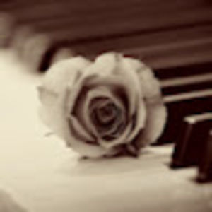 Meet your Posher, Audrey